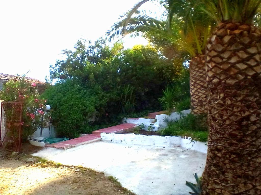 פלומרי Irini Studios מראה חיצוני תמונה