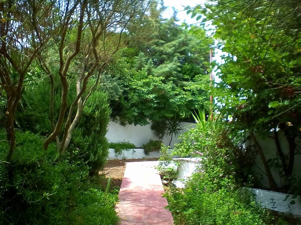 פלומרי Irini Studios מראה חיצוני תמונה