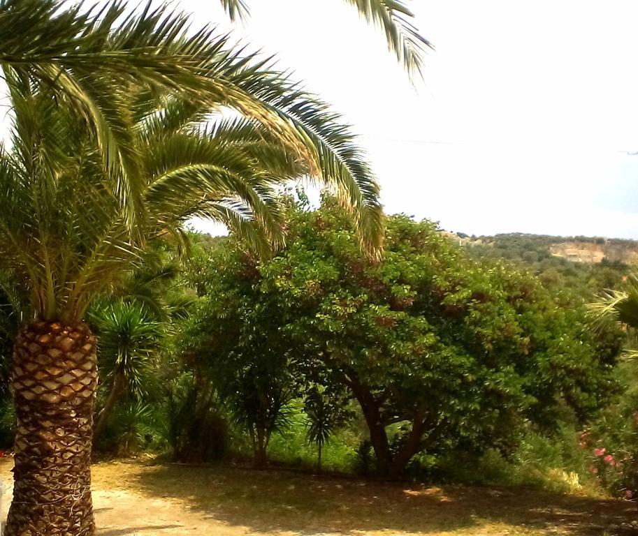 פלומרי Irini Studios מראה חיצוני תמונה
