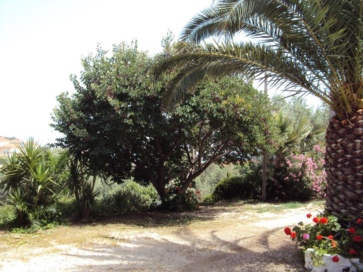 פלומרי Irini Studios מראה חיצוני תמונה